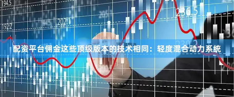 配资平台佣金这些顶级版本的技术相同：轻度混合动力系统