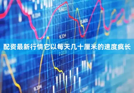 配资最新行情它以每天几十厘米的速度疯长