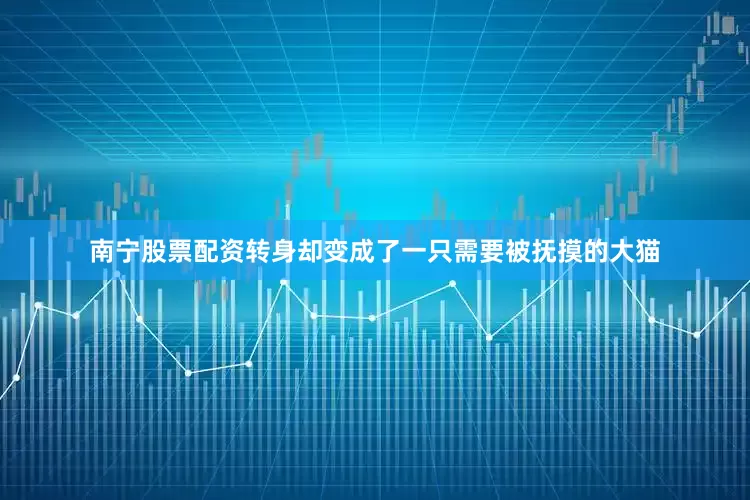 南宁股票配资转身却变成了一只需要被抚摸的大猫