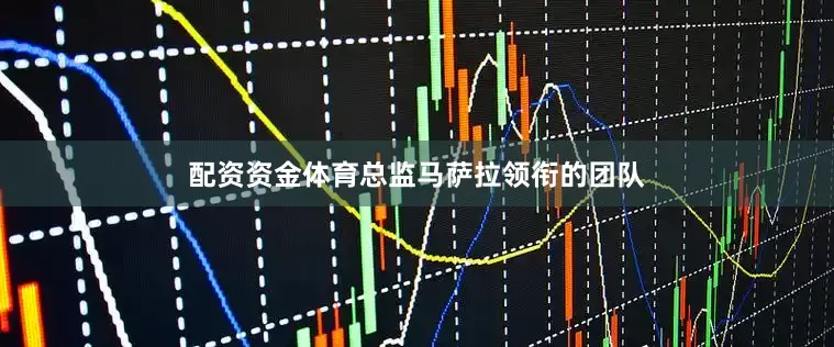 配资资金体育总监马萨拉领衔的团队