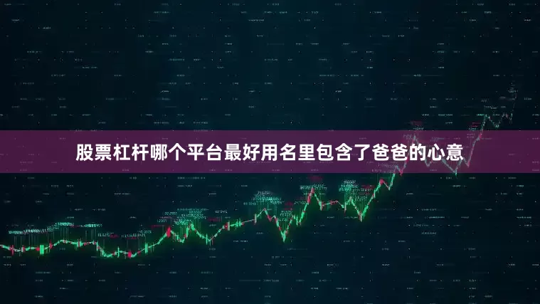 股票杠杆哪个平台最好用名里包含了爸爸的心意